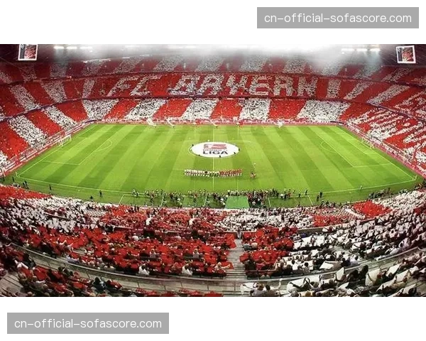 动态更新：多家德甲俱乐部公布上一年度财报，商业收入普遍增长